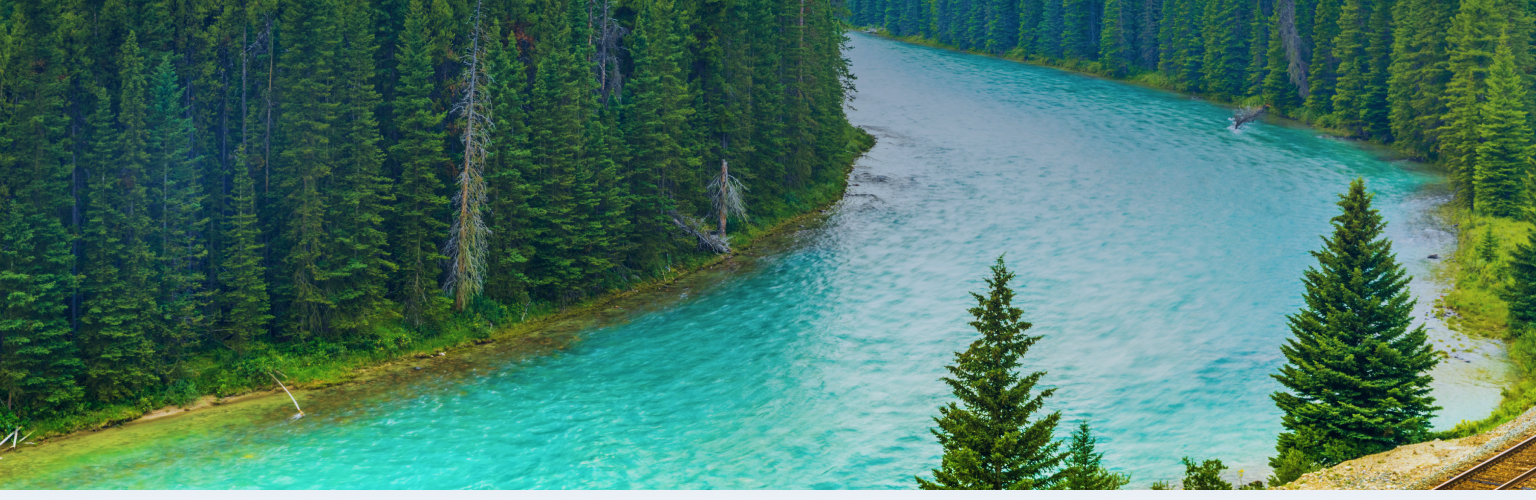 A forest and river in Alberta, Canada.