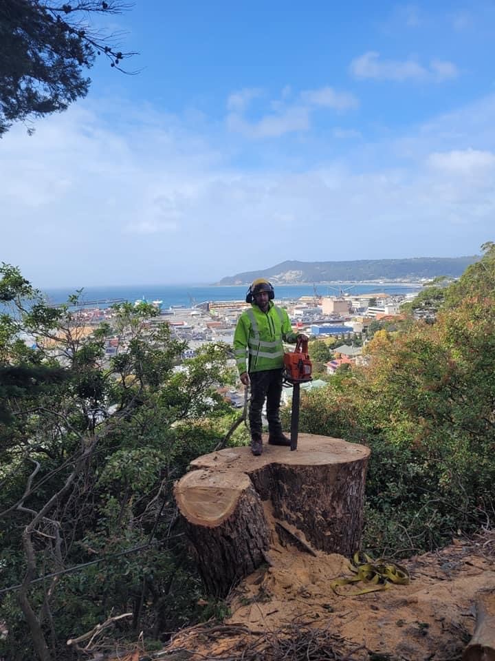 Images E&T Tree Services And Stump Grinding