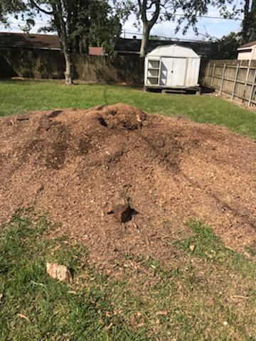 Images S & L Tree Service & Stump Grinding