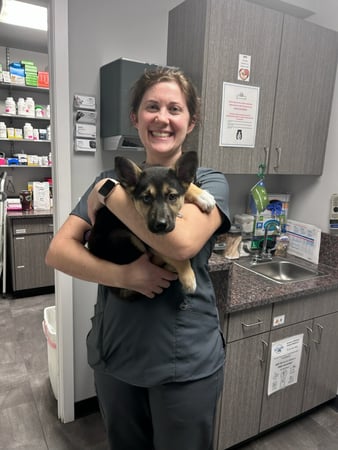 Images VCA Peone Pines Animal Hospital