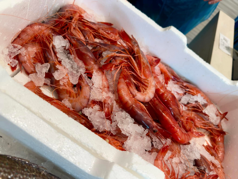 Images Pescheria Bustimar