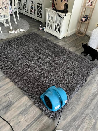 Images Premier Professional Cleaning Service