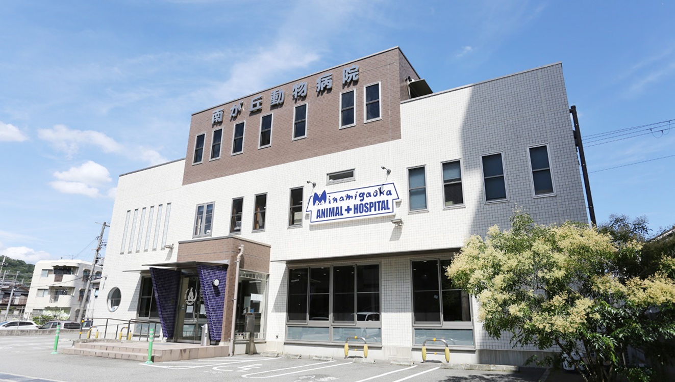 Images 南が丘動物病院