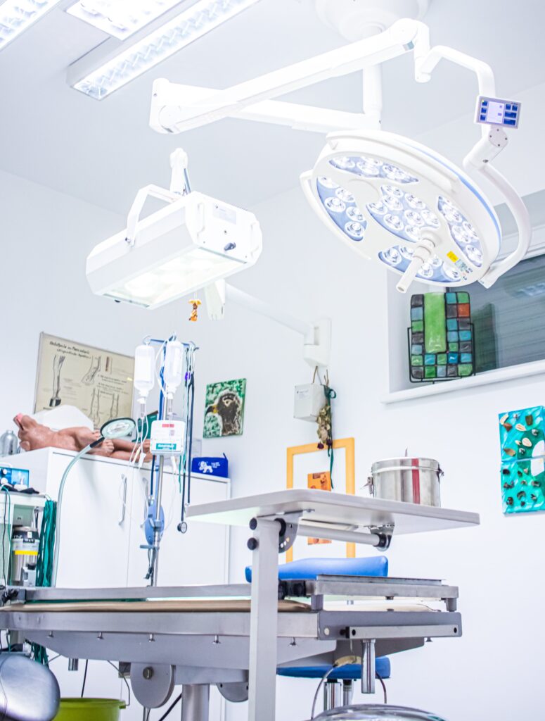 Bild 2 von Tierarztpraxis Kim-Dorn GmbH