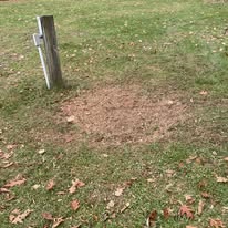 Ace Unlocking Service Image