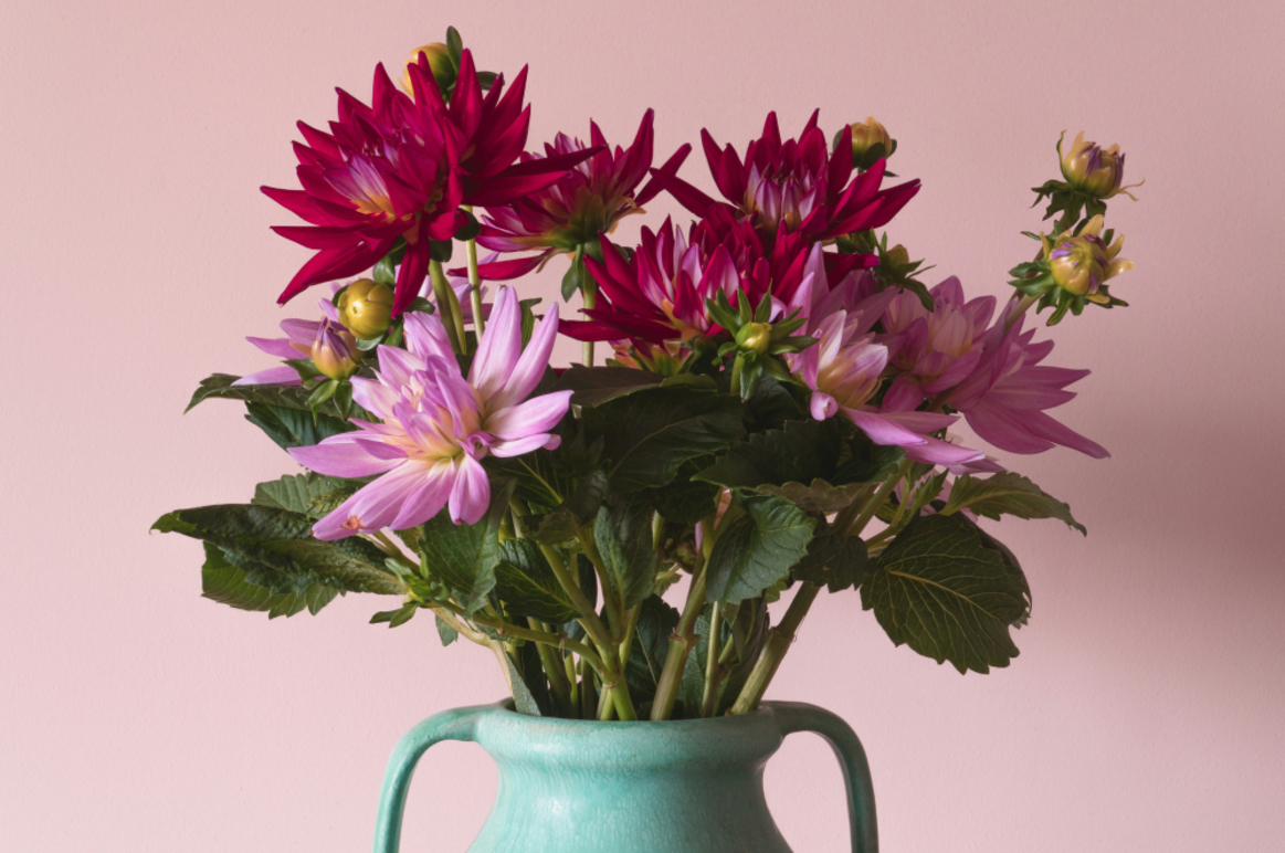 Images Blombolaget i Mörbylånga AB