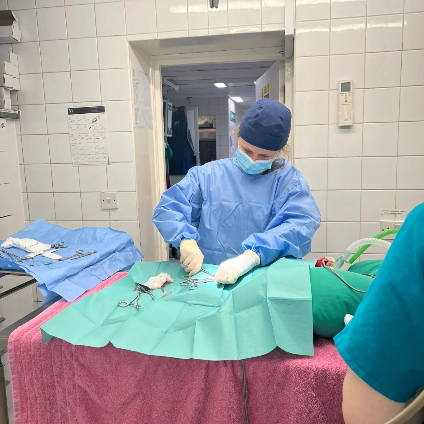 Images Streatham Hill Veterinary Surgery