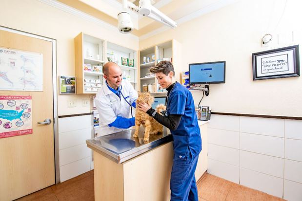 Images VCA Becker Animal Hospital and Pet Resort