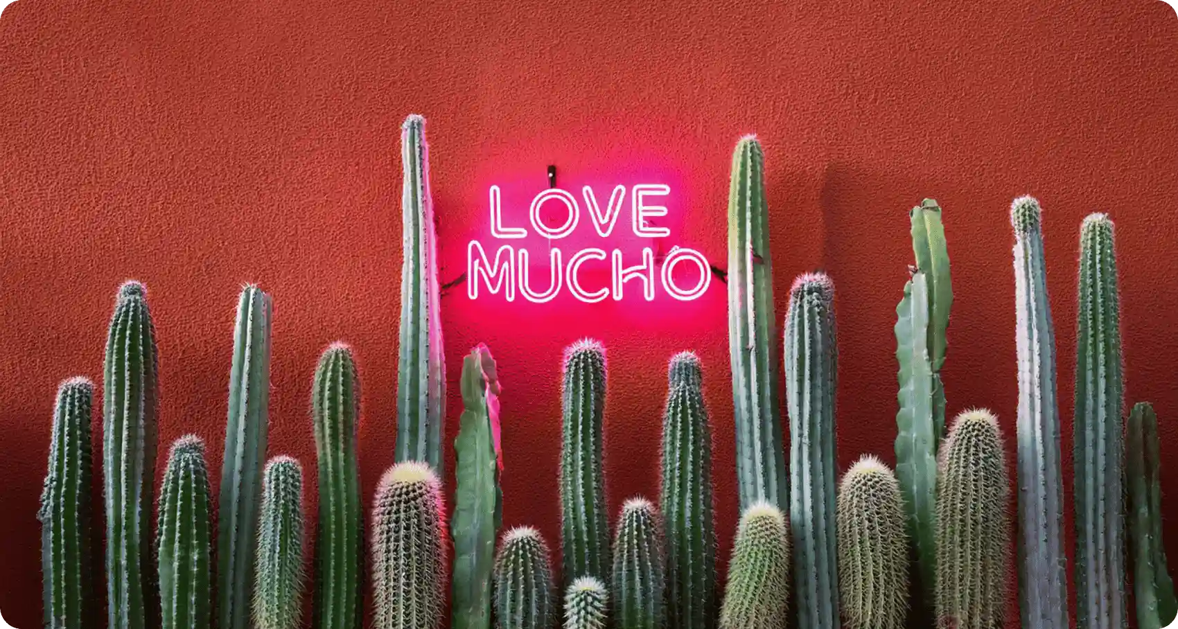 love-mucho