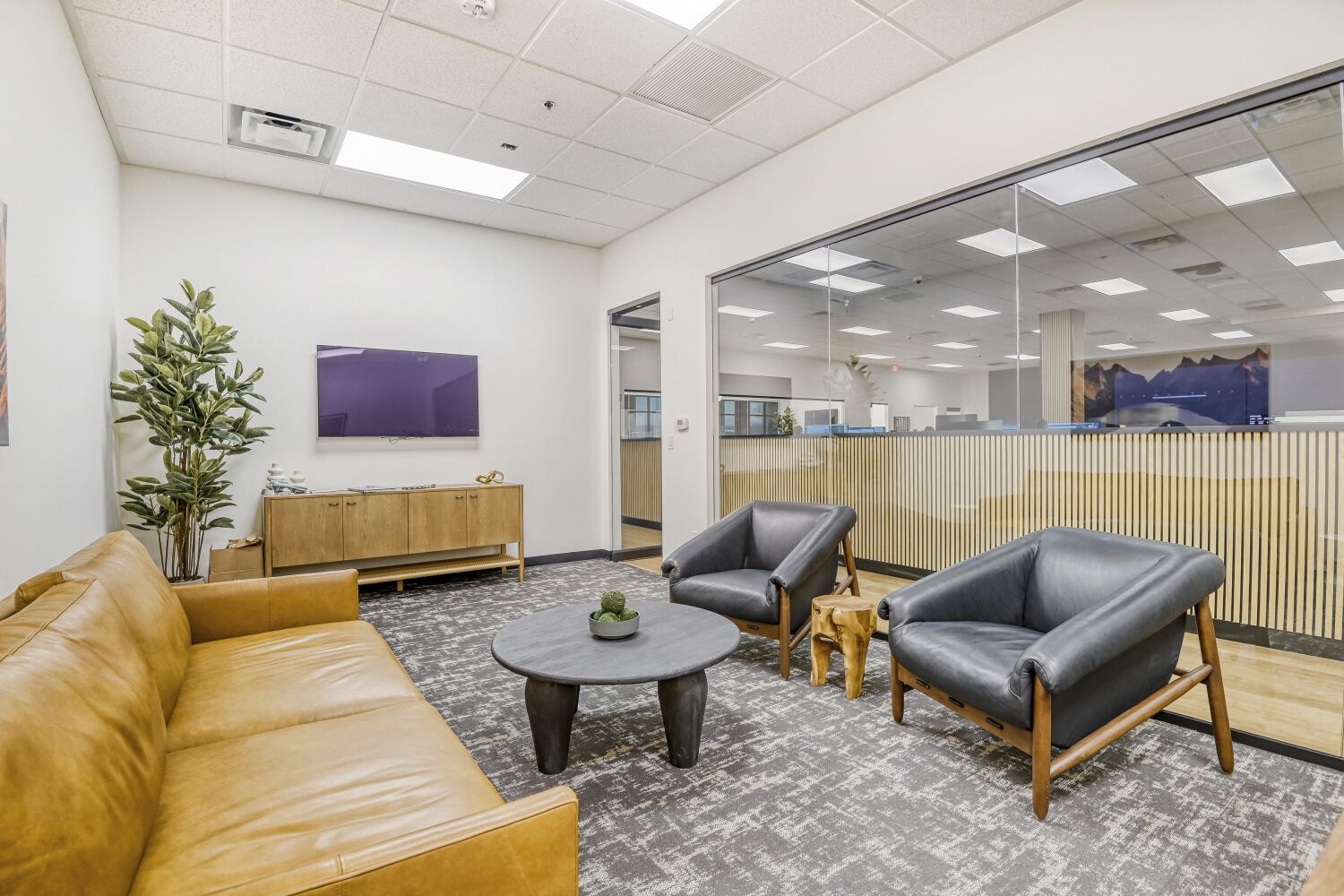 Alpha Video Surveillance Image