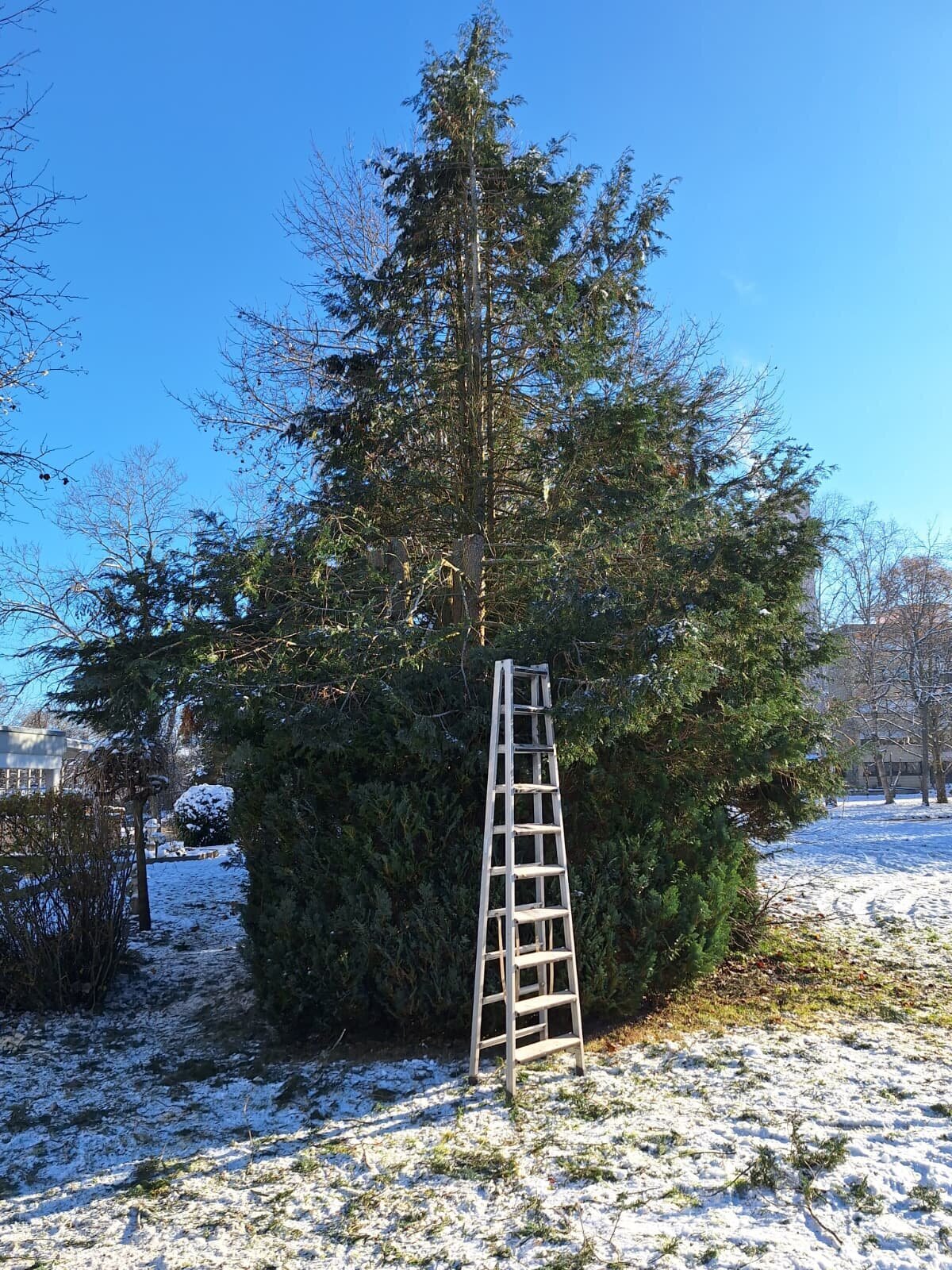 Bilder HDS Hausmeisterservice Entrümpelung Baumfällung Entkernung Demontage Altmetall-Entsorgung