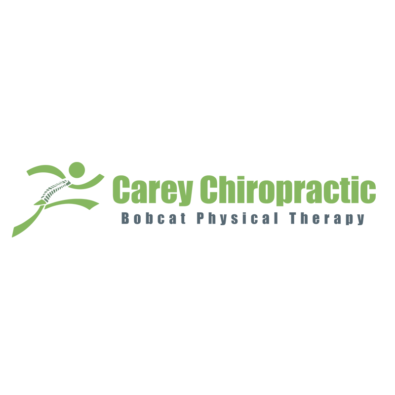 Carey Chiropractic Bobcat Physical Therapy Logo