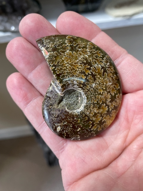 Images Gem Adventures Jewelers & Rock Shop