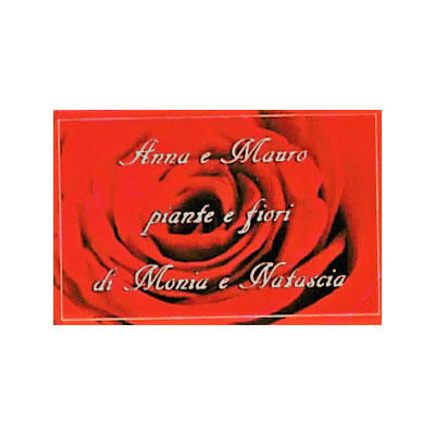 Fioreria  Anna e Mauro di Monia e Natascia Logo