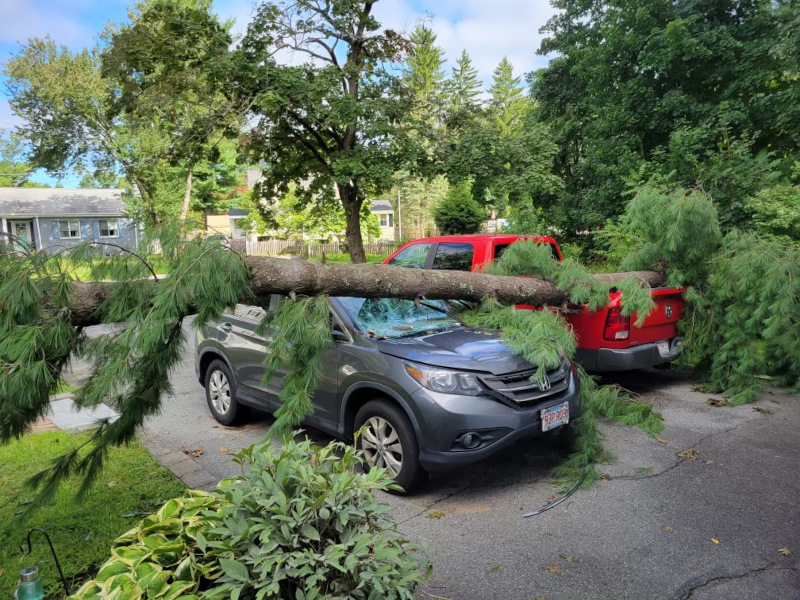 After a late summer storm, Martel Crane Service & Tree Removal safely removed a large pine that had fallen onto the driveway and vehicles in Chelmsford, MA. If a recent storm has damaged your trees, branches or even knocked a tree over, our professional team will prune and/or remove the tree and prevent further damage to your property.