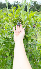 Images The Blueberry Ranch