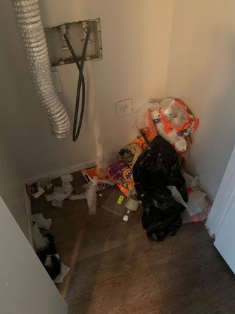Images Tidy Upped Cleaning Services
