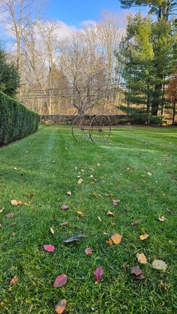 Images Dubons Landscaping LLC