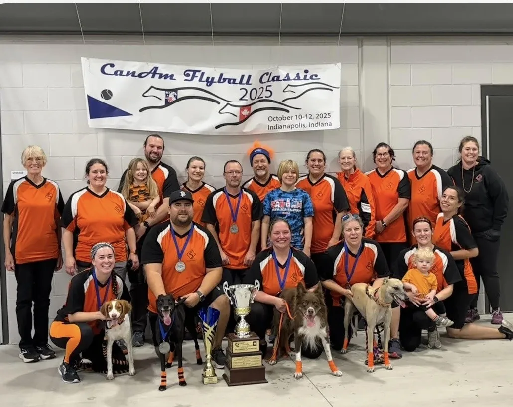 Image of Local Pet Event Skidmarkz Flyball Seminar Nearby