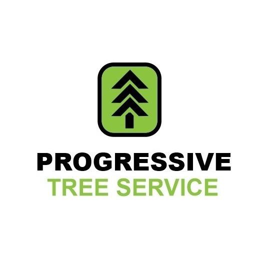Progressive Tree Service Rockford (616)209-2966