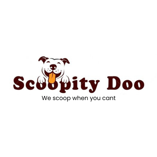 Scoopity Doo Cville Logo
