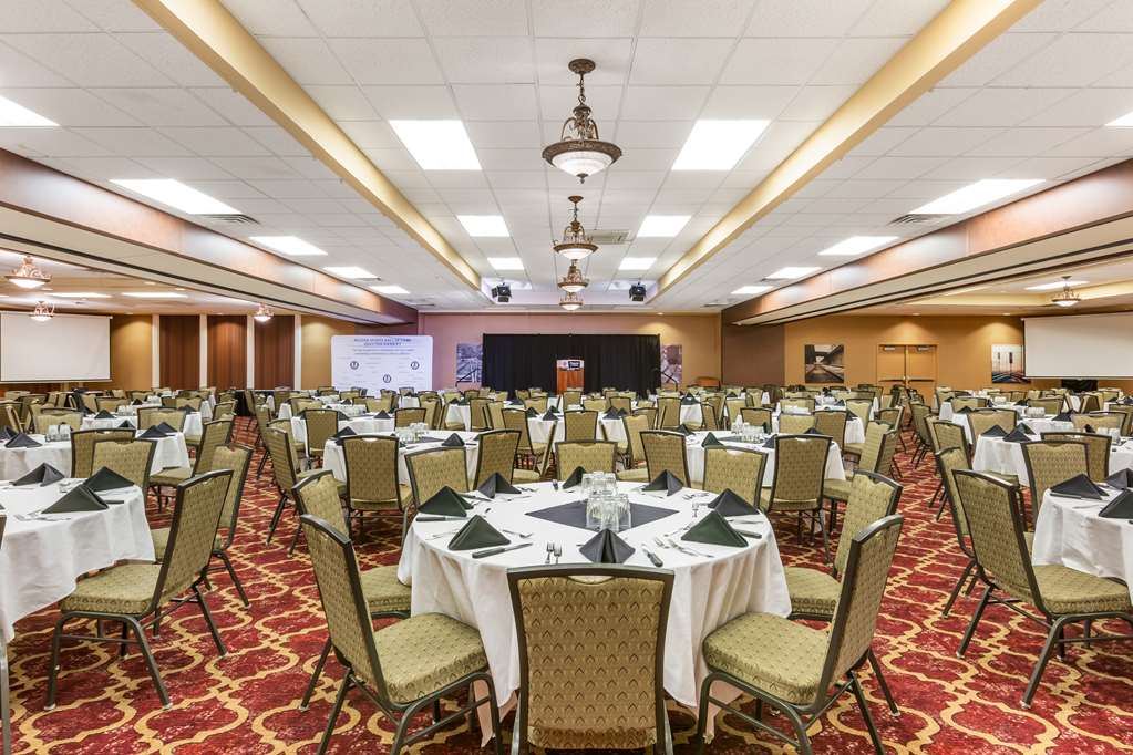 Meeting Room / Banquet Space