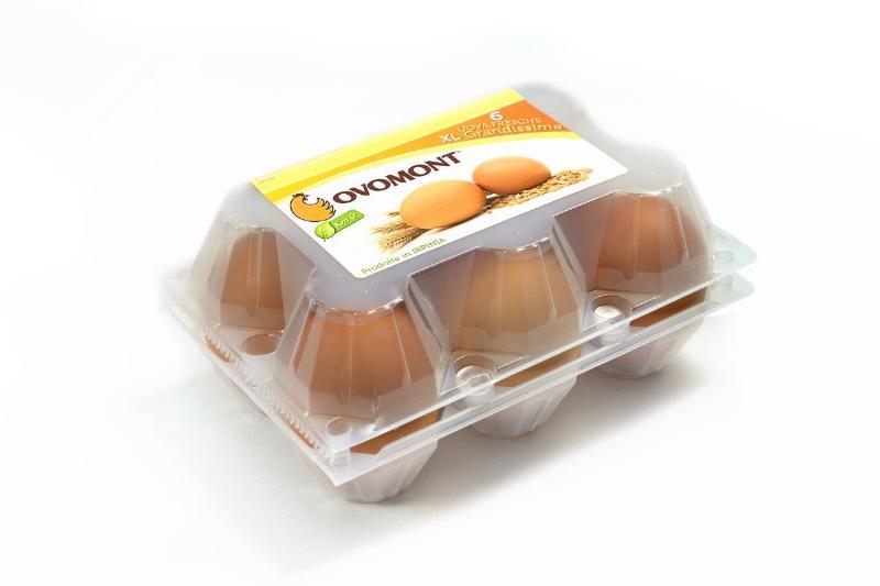 Images Ovomont - Produttori di uova