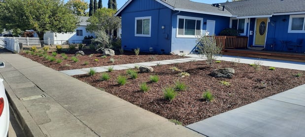 Images Paz Landscape