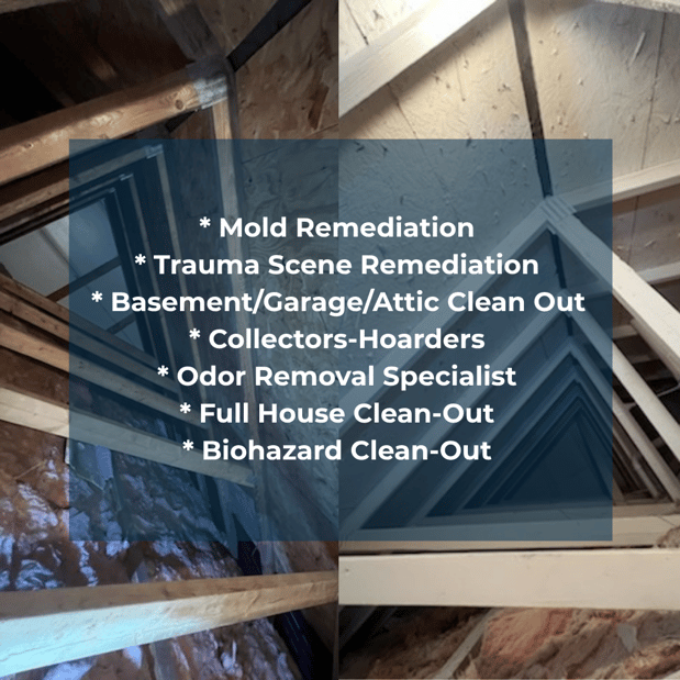 Images Quality Mold Remediation LLC
