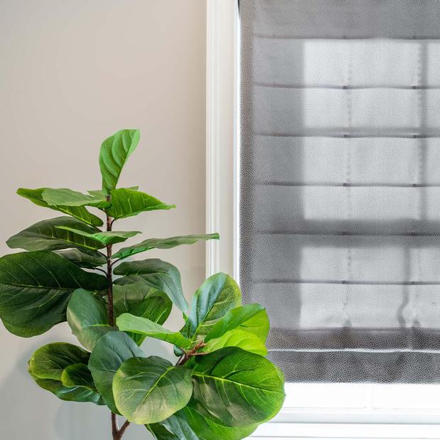 Images Budget Blinds of Santa Monica & Malibu