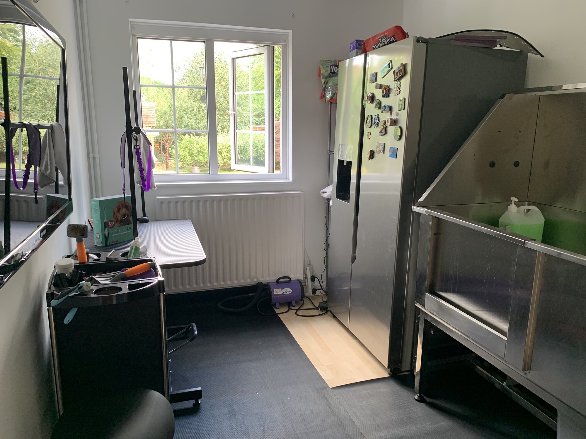 Images Scruff To Buff Dog Grooming