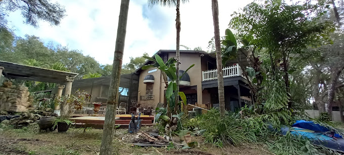 A Tree Surgeons Enterprise Logo