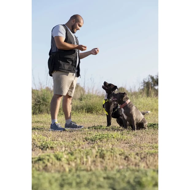 Images Spartan K9 LLC