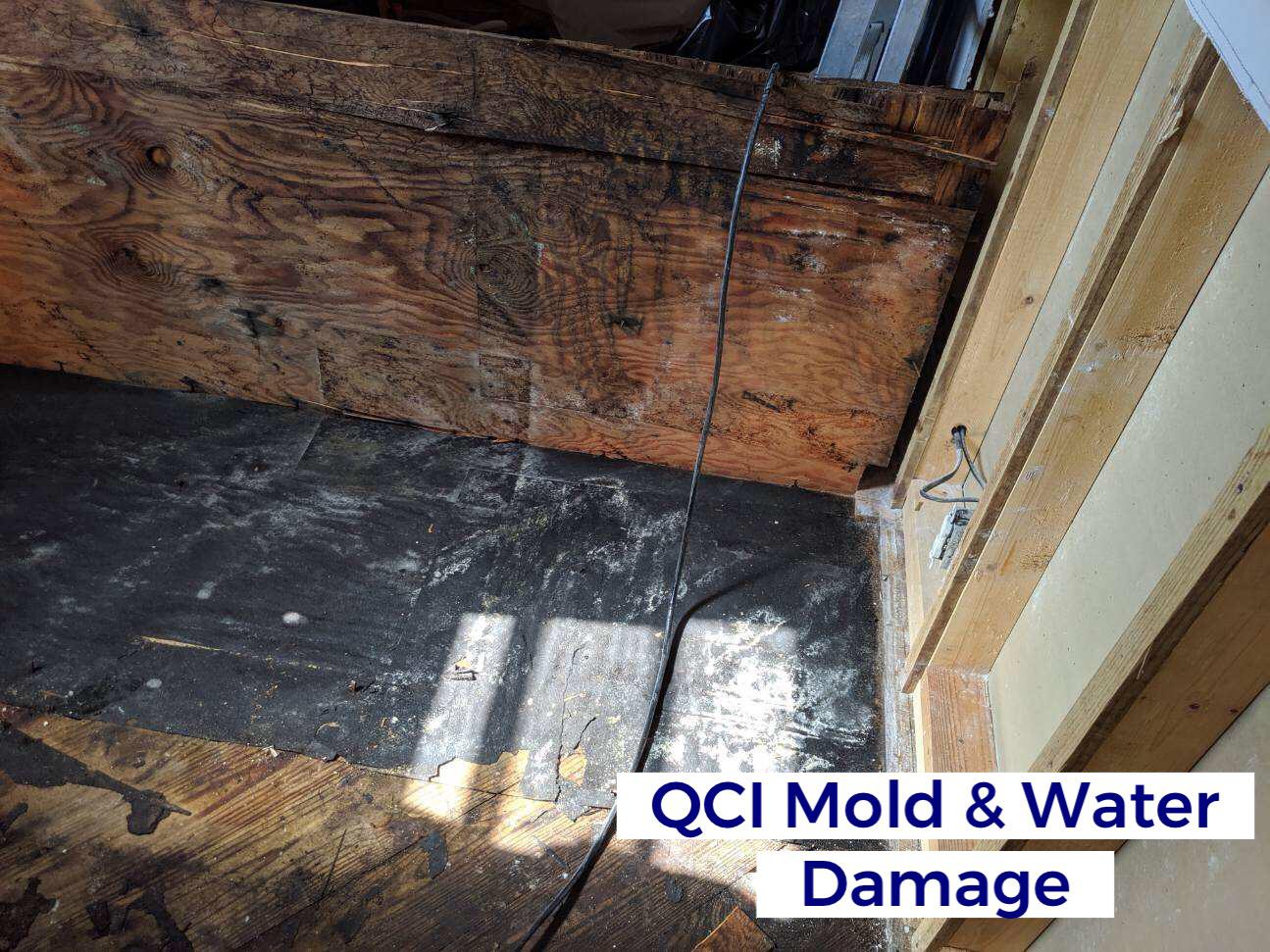 Image 9 | QCI Mold and Water Damage