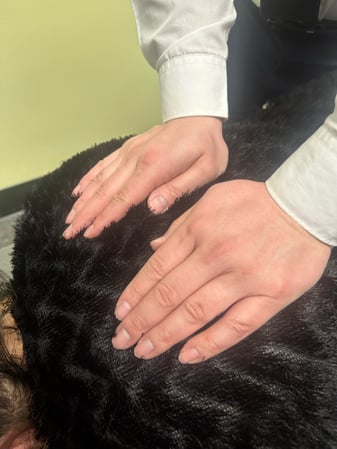 Images Martin Family Chiropractic Centers - Pleasant Hill