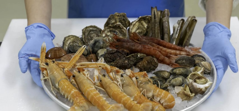 Images Rg Pescheria