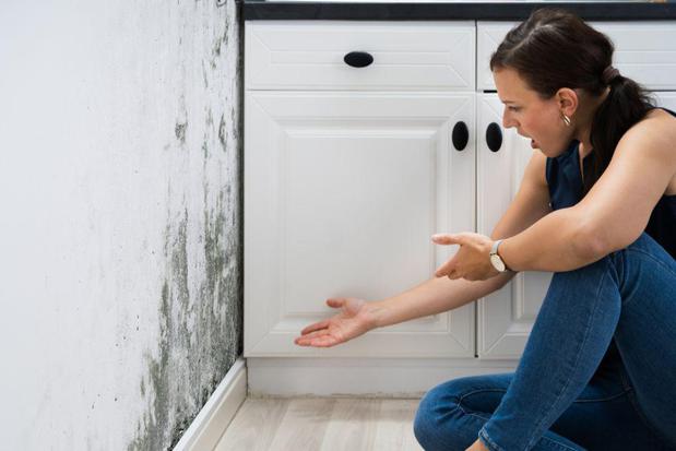 Images First Response Restoration, Water Damage Minneapolis Specialist