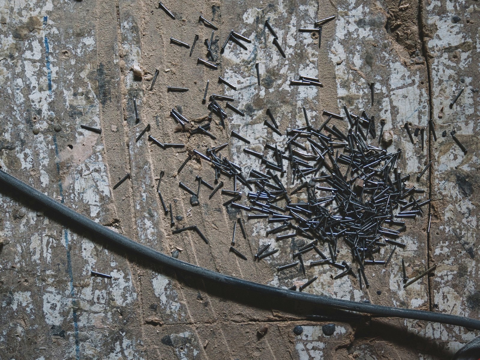 Advance Pest Control