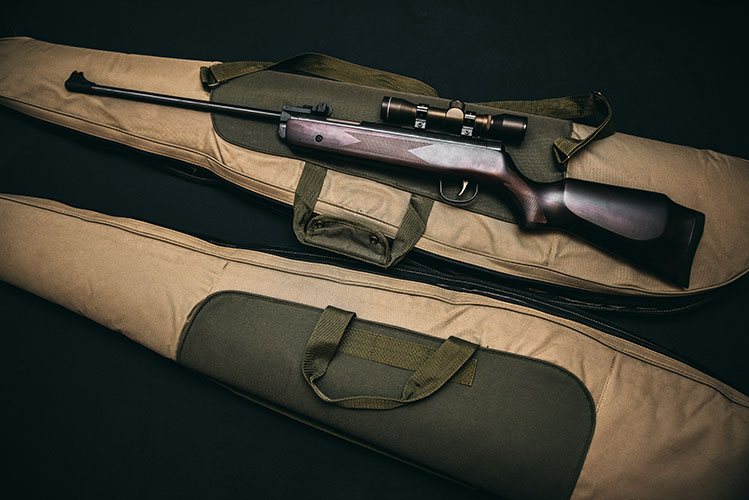 Bilder Waffen Pauli AG