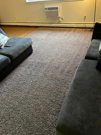 Images Premier Professional Cleaning Service