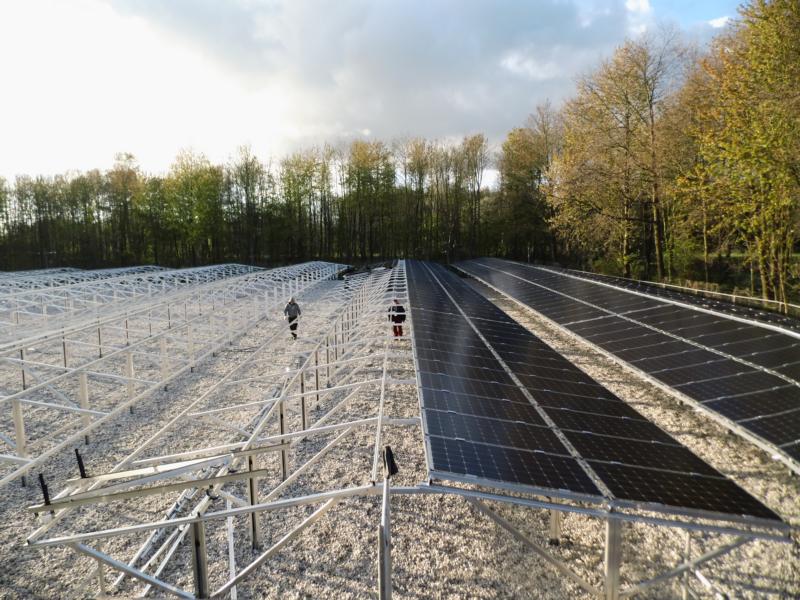 Unser Projekt im Bereich Solarlines. Ein erfolgreich abgeschlossenes Freilandprojekt