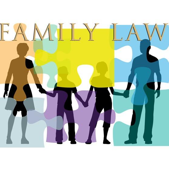 Law Office of Alexander D Nirenstein Llc