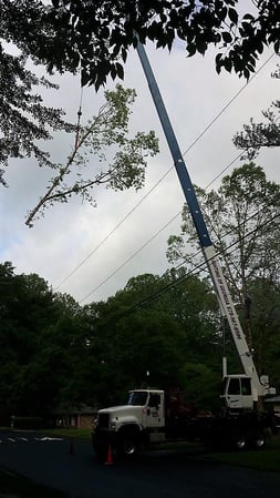 Images Tomahawk Tree Service