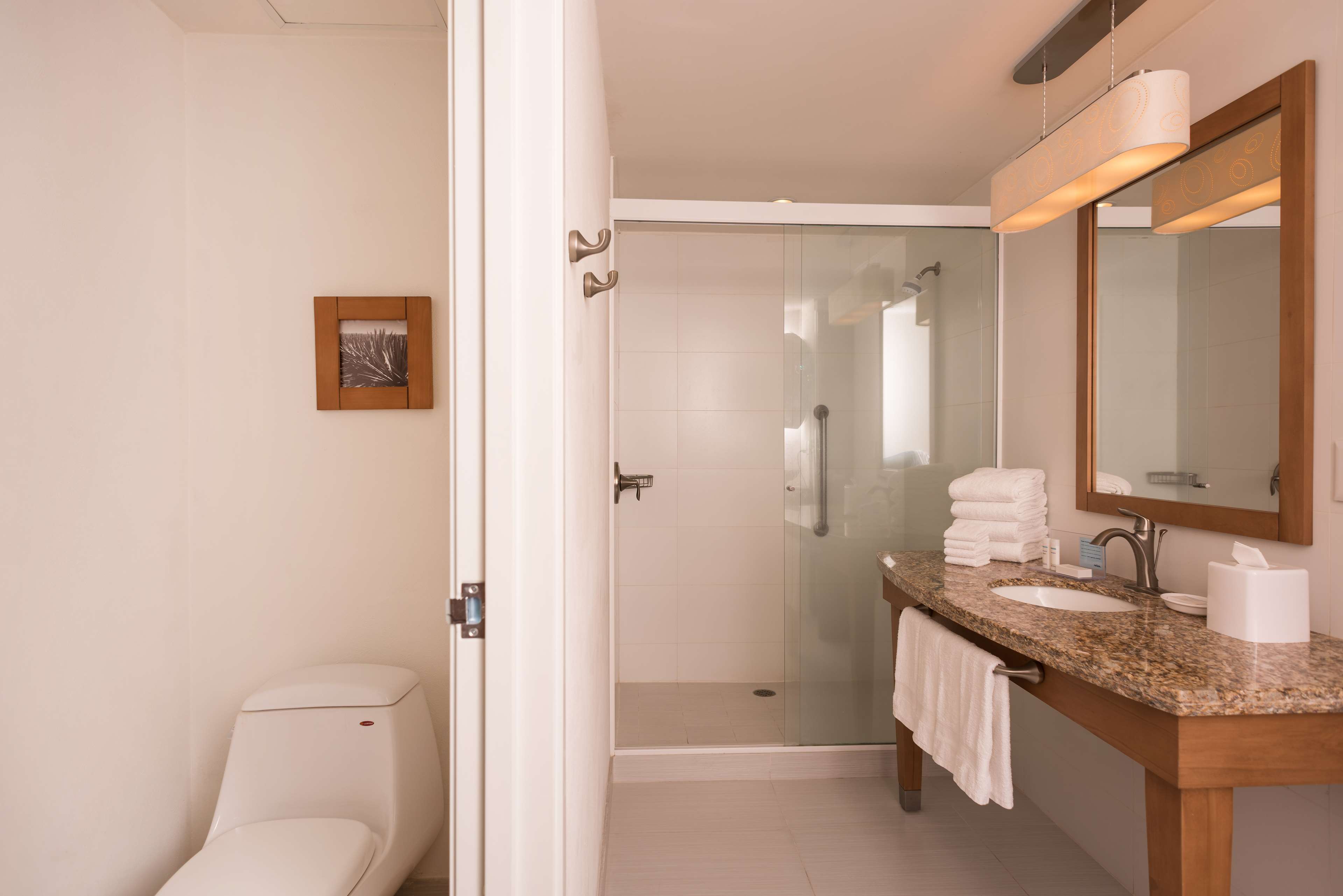 Images Hampton Inn by Hilton Guadalajara/Expo