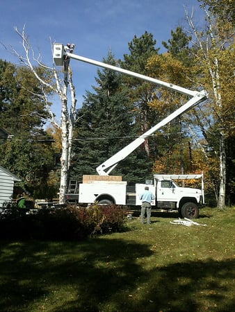 Images McMillan Tree Service