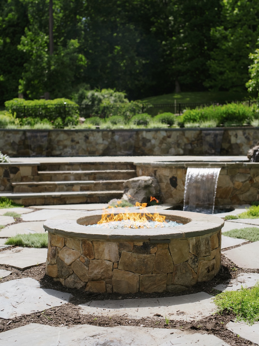 Black Pearl Management Image