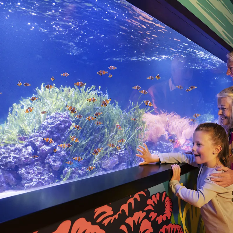 Images SEA LIFE London Aquarium