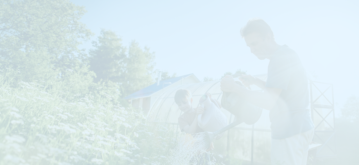 A grandfather and grandson gardening together.