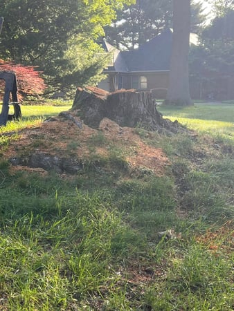 Images Abracadabra Stump Grinding