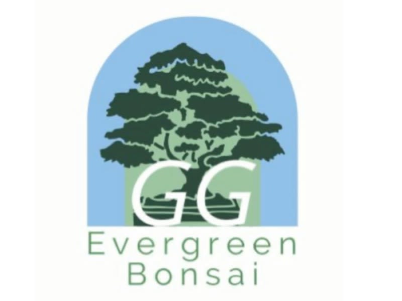Images GG Evergreen Bonsai